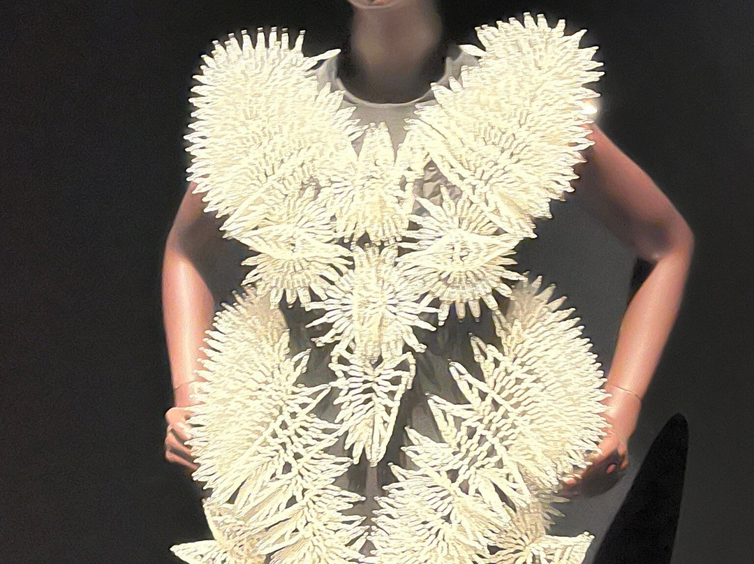 昆莎美术馆-鹿特丹必去景点