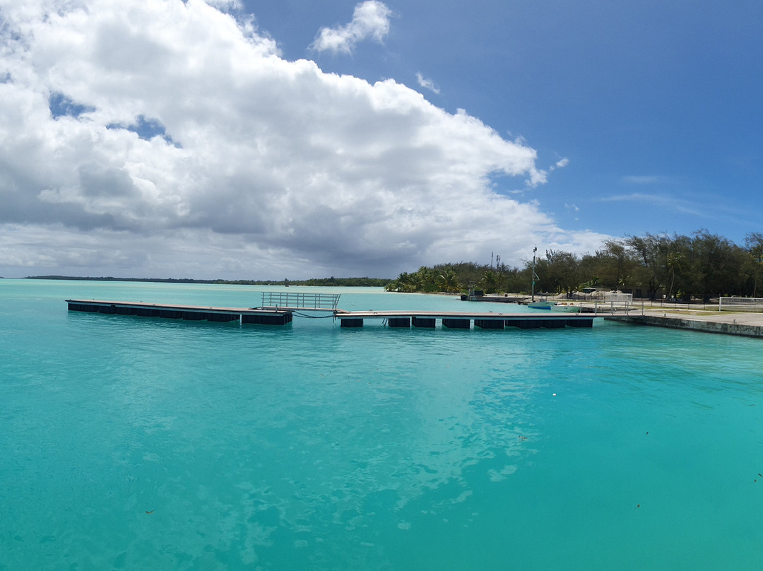 Bora Bora Lagoonarium-瓦伊塔佩必去景点