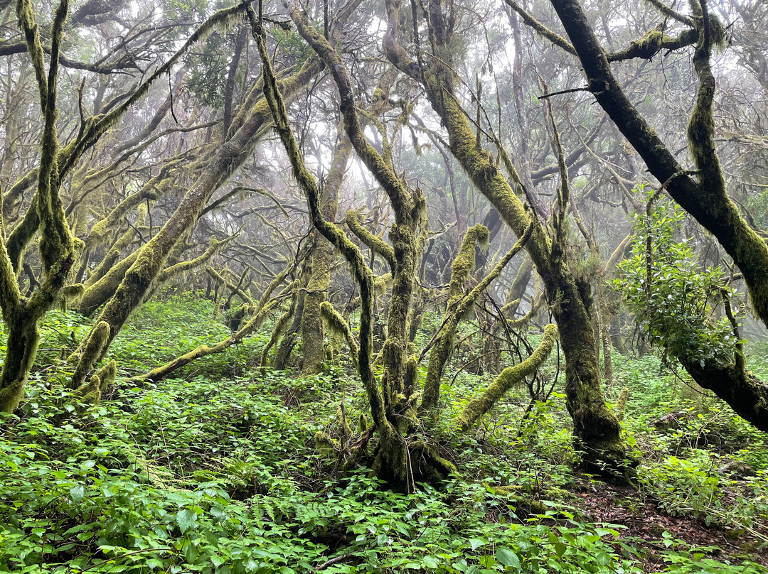 Rruta De La Llania-Valverde必去景点