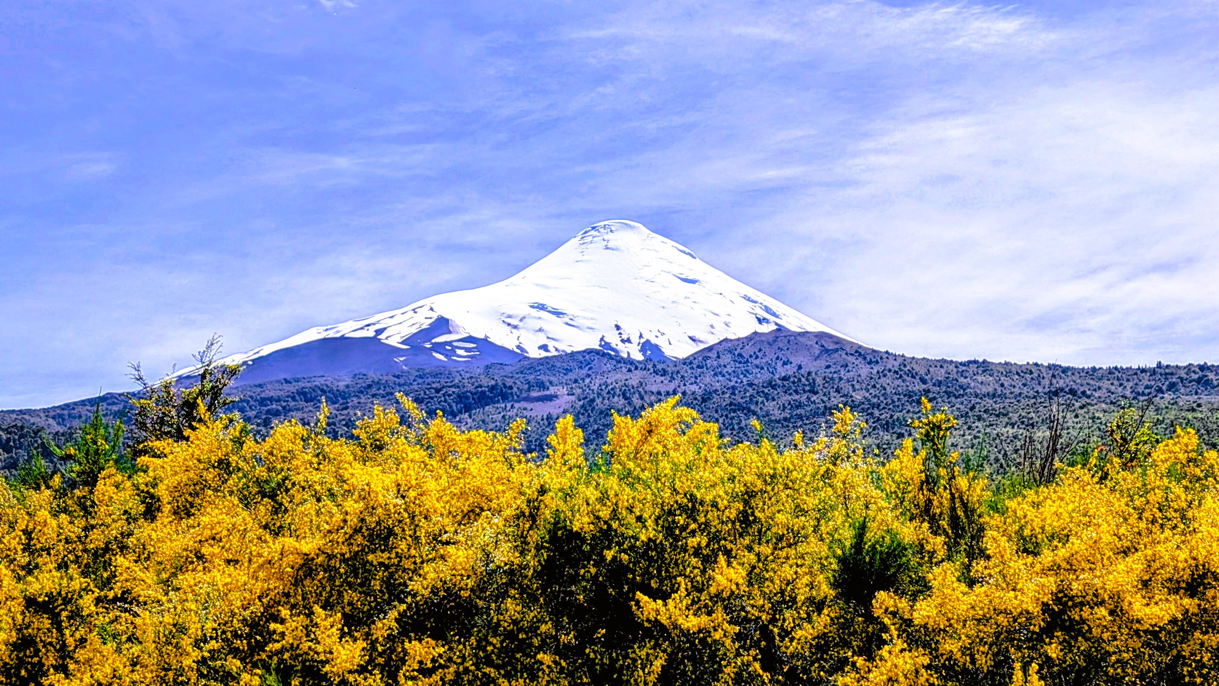 Park Lake Luxury Hotel-官方