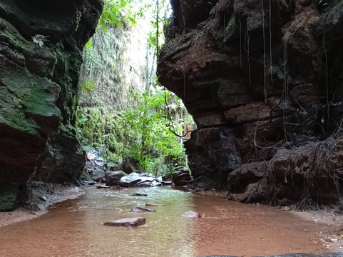 JALAPAO FOREVER TURISMO E AVENTURA-Palmas必去景点