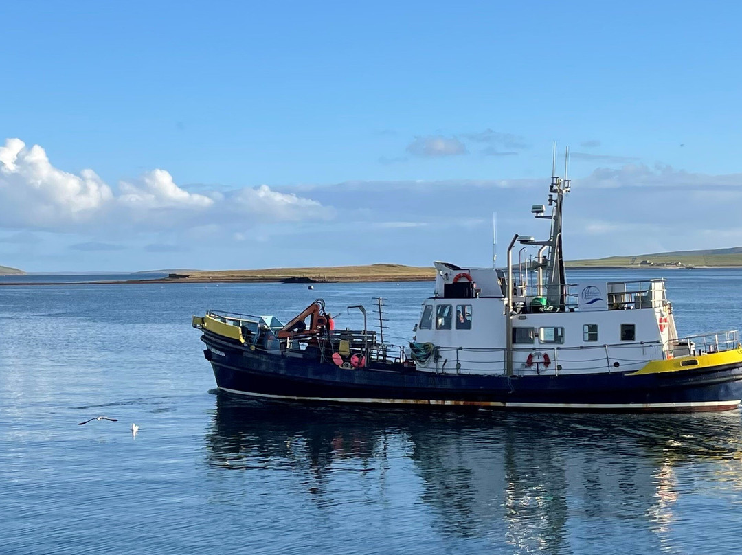 Kraken Diving-Birsay必去景点