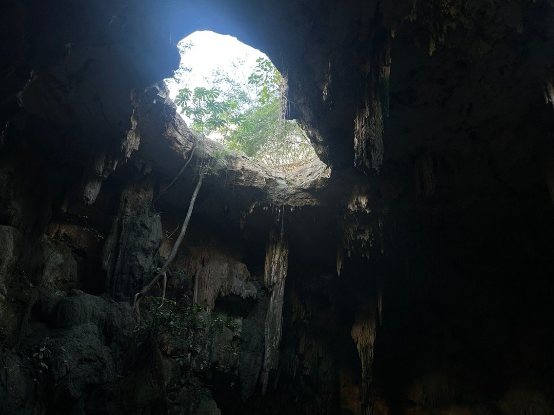 Tsukán Santuario de Vida-Piste必去景点
