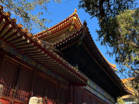 Skye的北京一日游-北京市必去景点