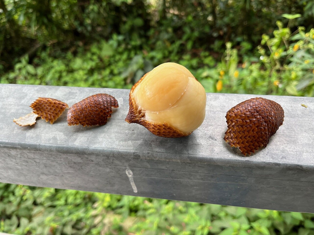 Choco Toucan Reserve-San Miguel de los Bancos必去景点