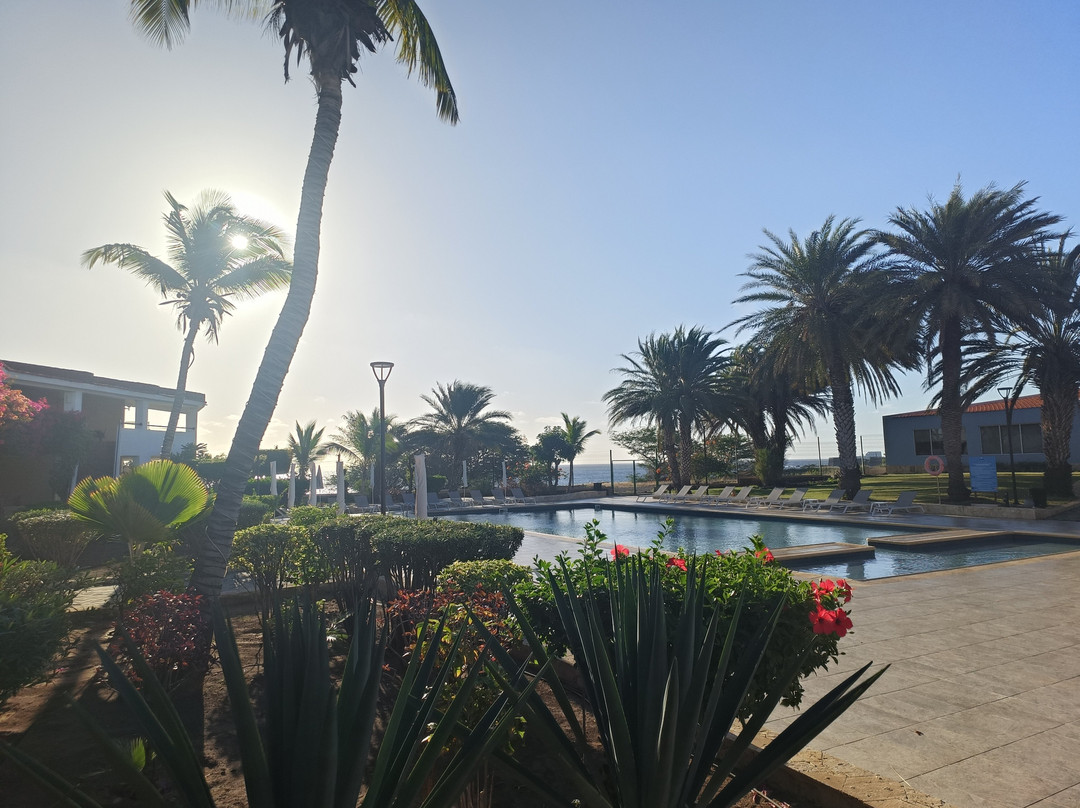 Pestana Tropico主图