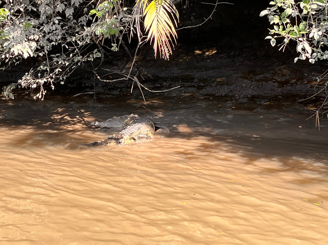 Palo Verde Boat Tours-Ortega必去景点