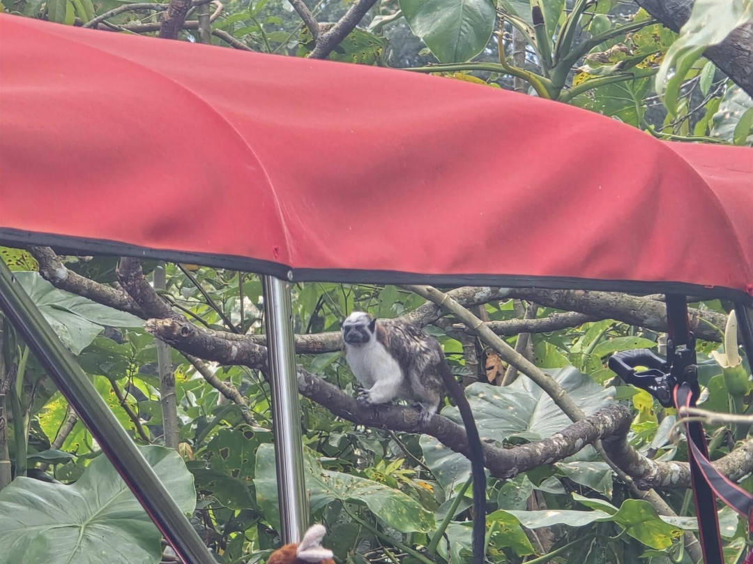 Gatun Sport Fishing Lodge-巴拿马城必去景点