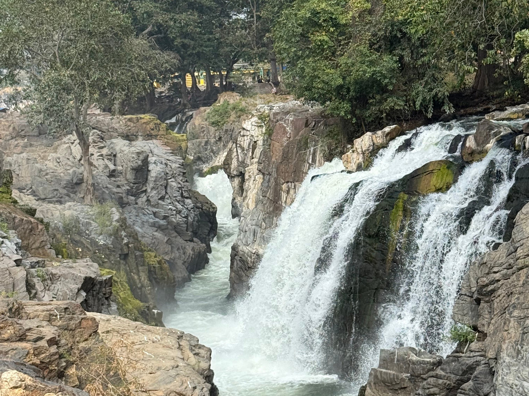 Hogenakkal Falls-Hogenakkal必去景点