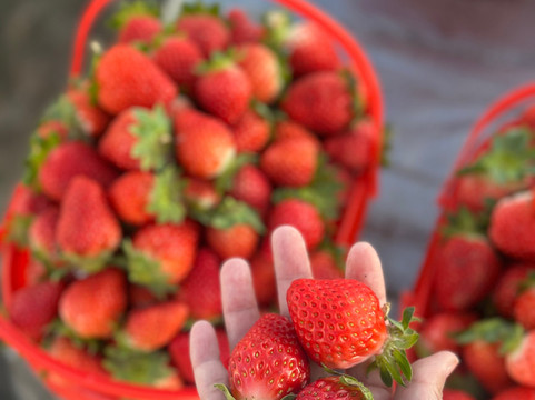 Chinaxiantour-西安市必去景点