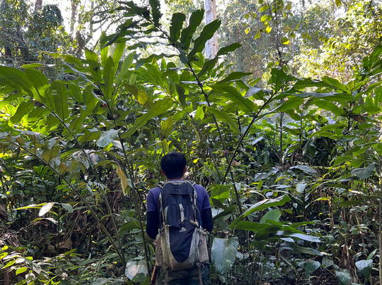 Parntrek-清莱必去景点