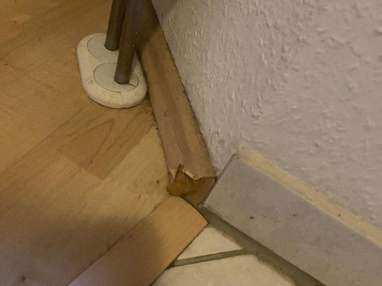 Brockenblick Ferienpark主图