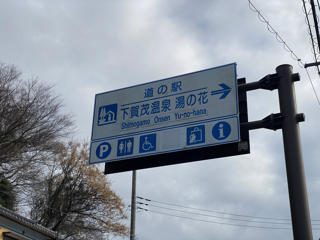 Michi-no-Eki Shimkamo Onsen Yonohana-南伊豆町必去景点