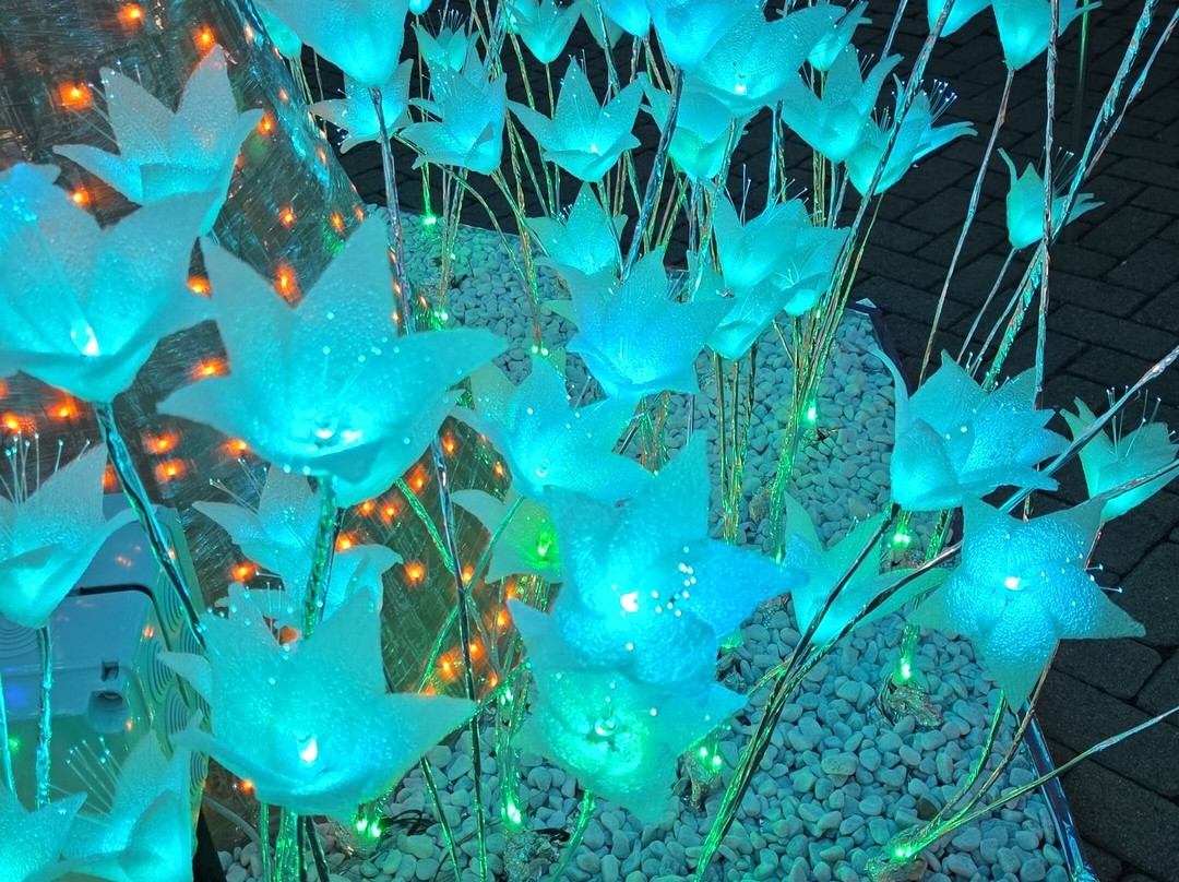 Lucine di Natale-Leggiuno必去景点