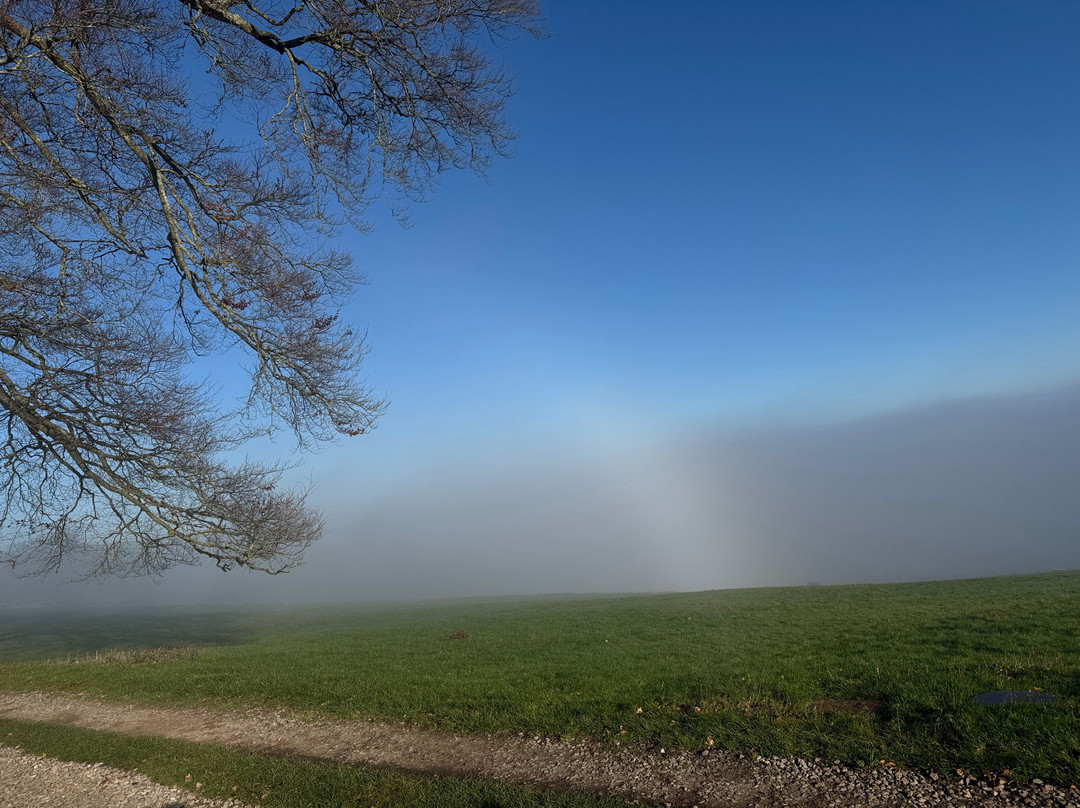 Arden House B&B主图