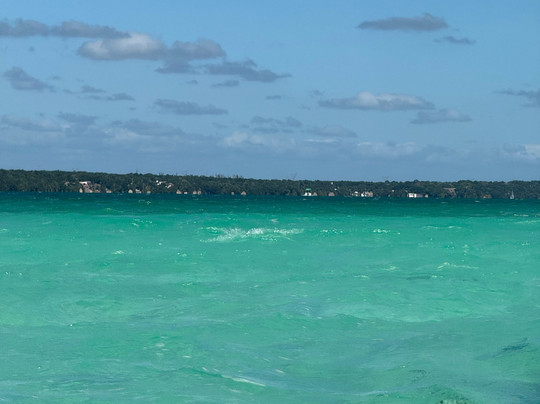DayTour Bacalar-Bacalar必去景点