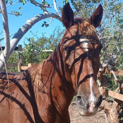 Cerritos Cowboy-Playa Cerritos必去景点