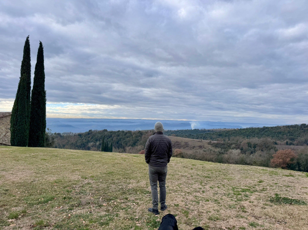 Decugnano dei Barbi-奥尔维耶托必去景点