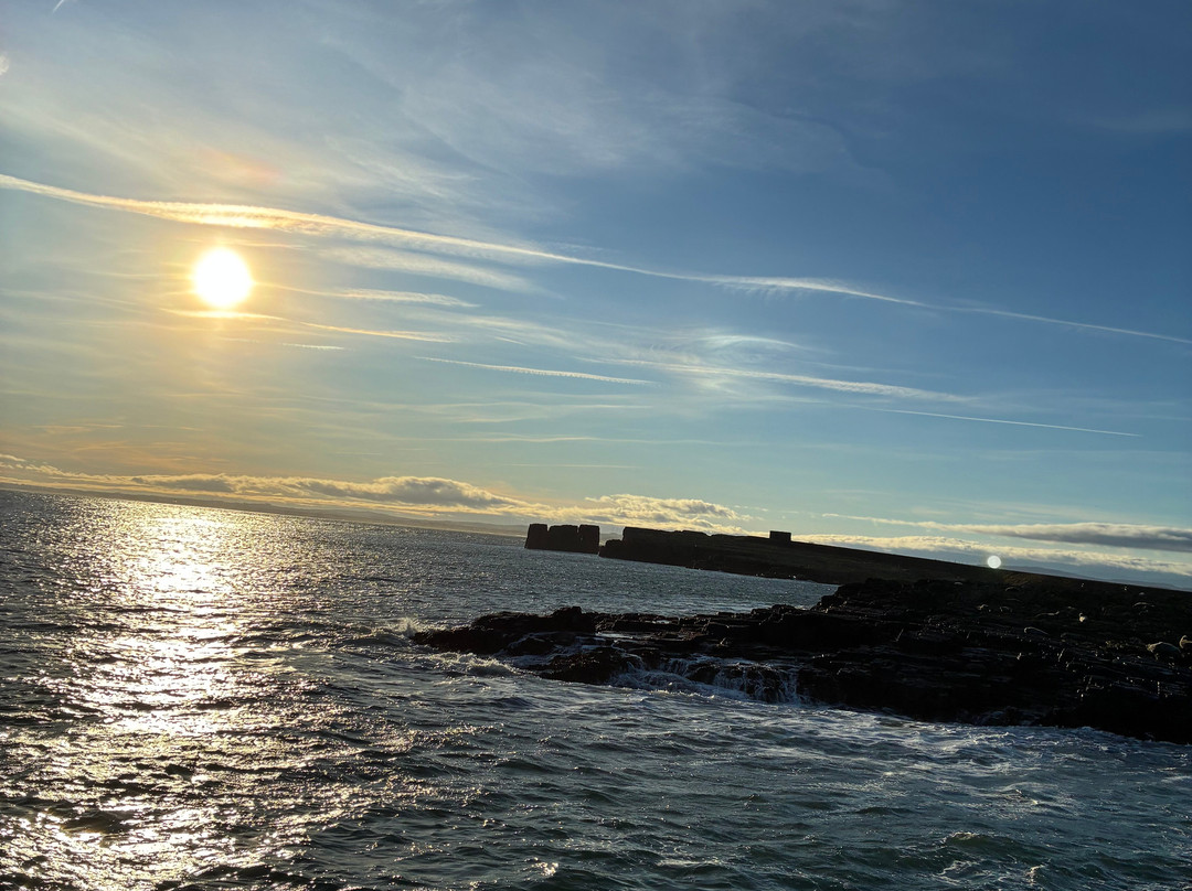Billy Shiel's Boat Trips-Seahouses必去景点