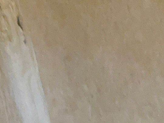 The Stamford Hotel主图