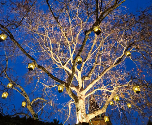 Alter Markt-科隆必去景点