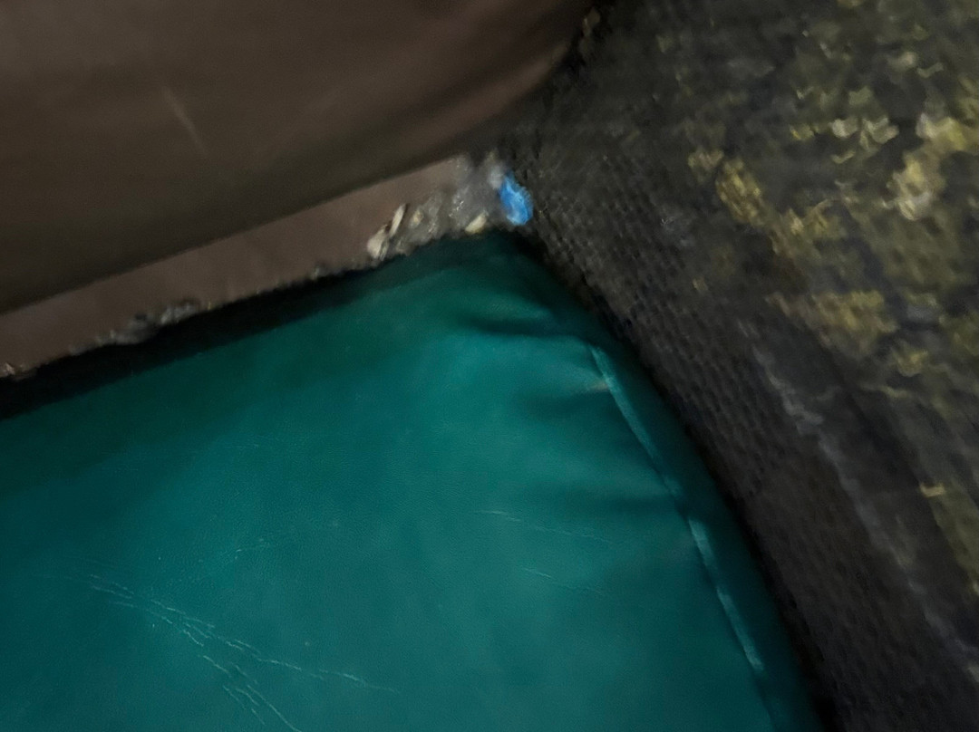 My Dreamland Osny-Osny必去景点