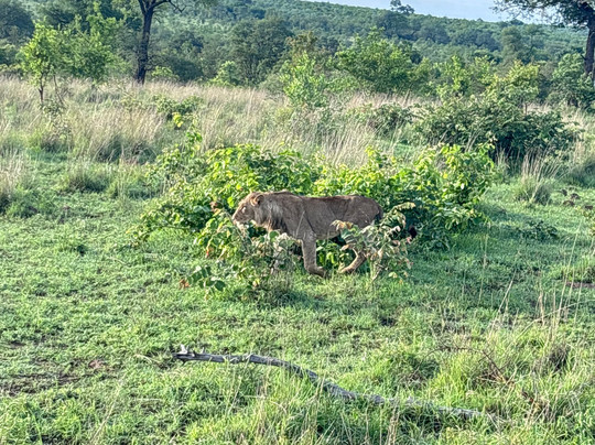 Bush Xplorers-雾观必去景点