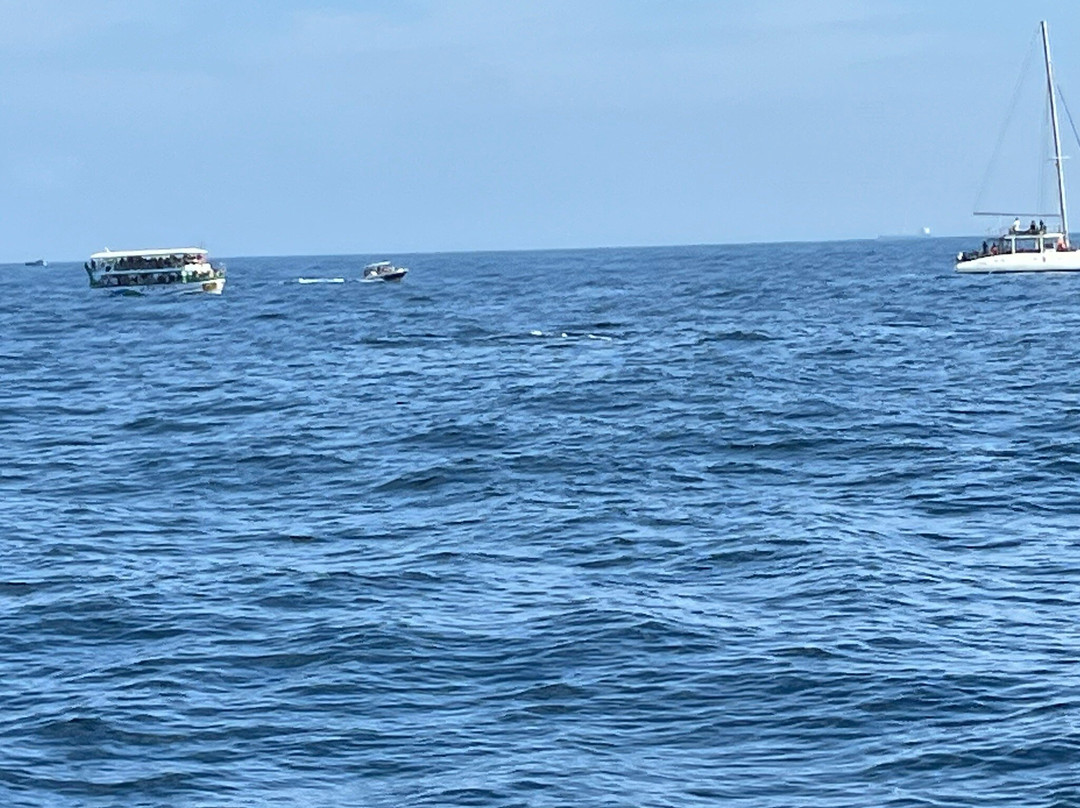 Sigiritrip Tours-锡吉里亚必去景点