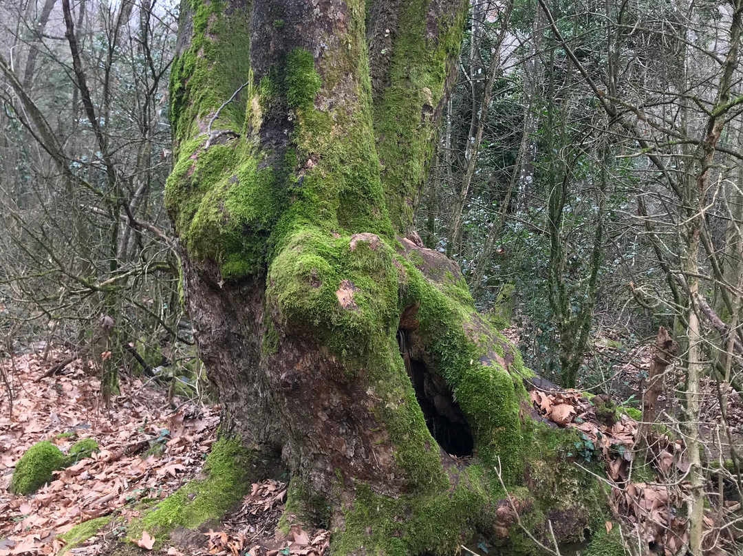 Nisi Margaritas Hotel主图