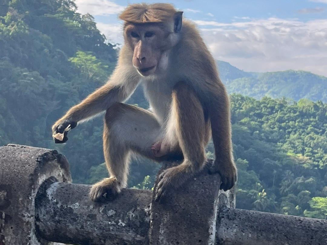 Wetour Sri Lanka-Kekirawa必去景点