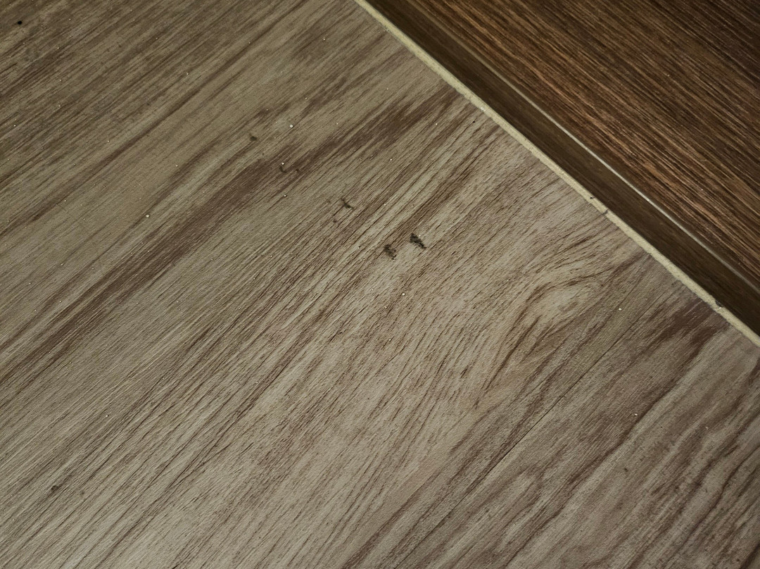 Hyatt Place Denver Tech Center主图