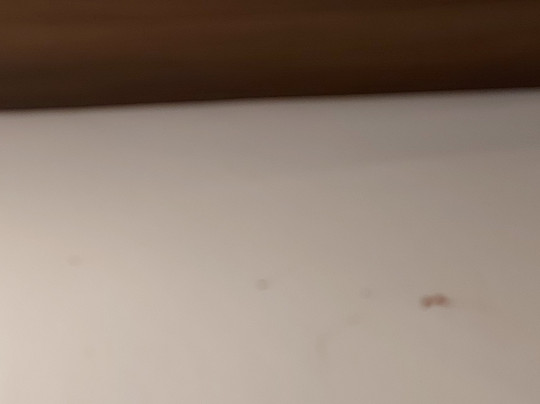 Sporthotel & Resort Grafenwald Daun Vulkaneifel主图