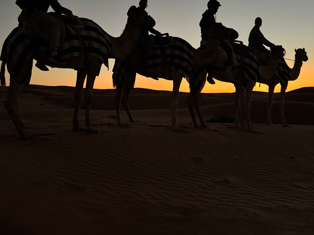 Origins Travel Group-阿姆斯特丹必去景点