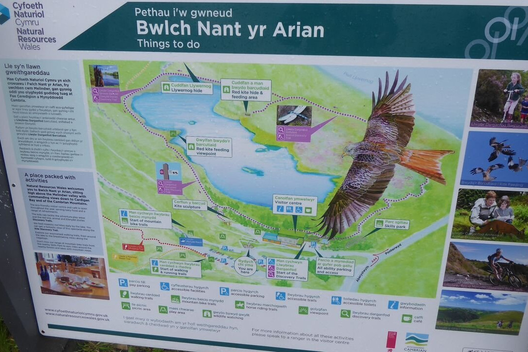 Bwlch Nant yr Arian Forest Visitor Centre-阿伯里斯特威斯必去景点