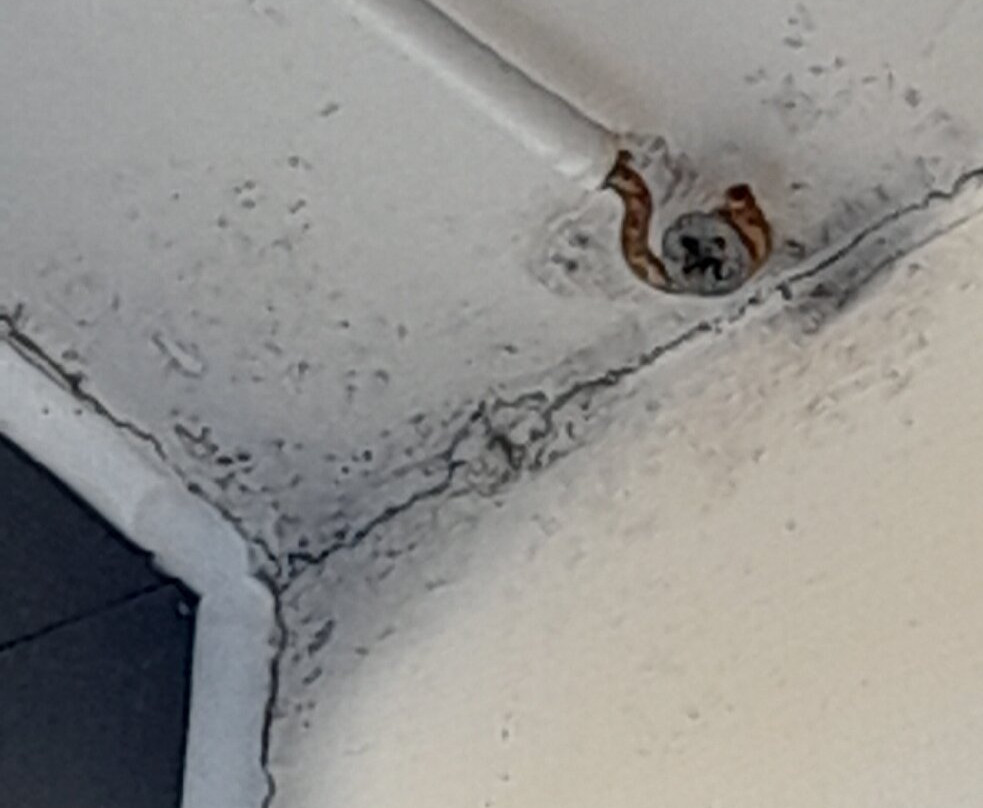 Premier Inn Trowbridge hotel主图