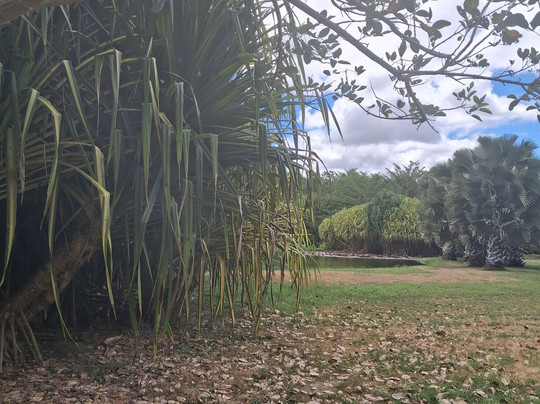 Usina de Arte-Agua Preta必去景点