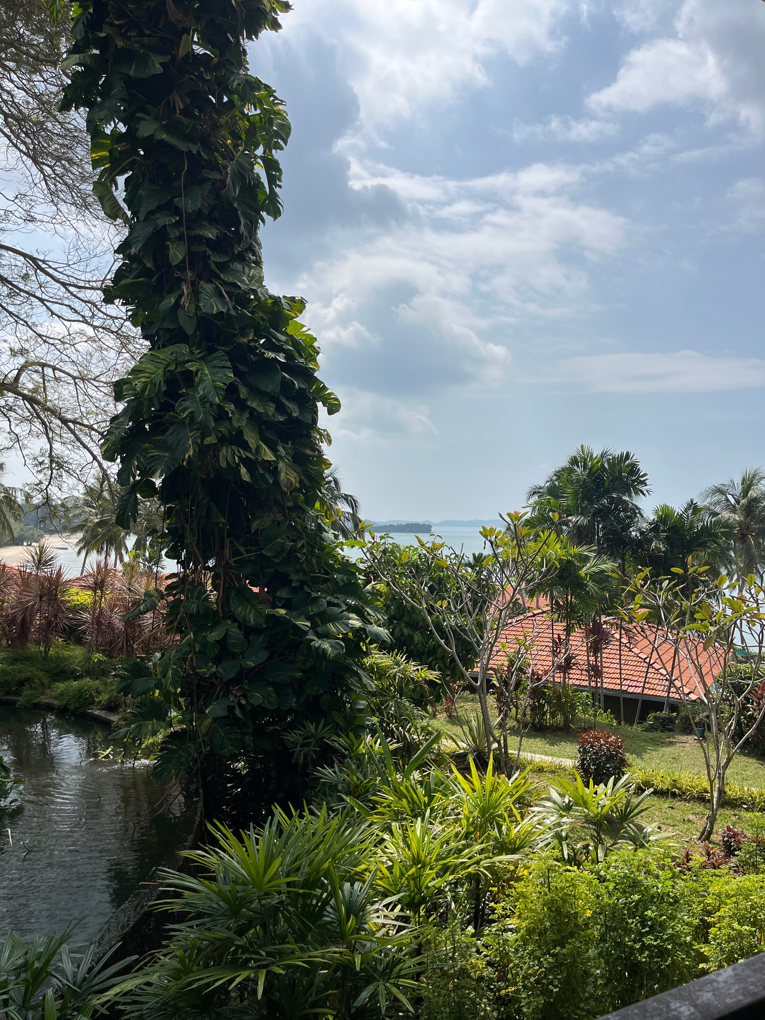 迪克森海中天港口-官方