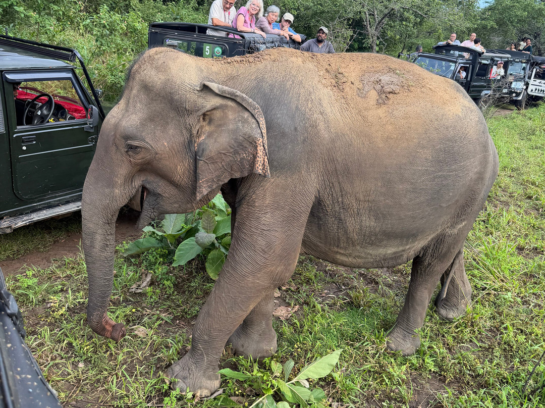 Hiriwadunna Village & Jeep Safari No 4-Hiriwadunna必去景点
