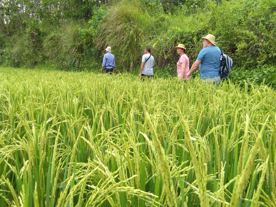 Bali Agritours-阿比安塞马尔必去景点