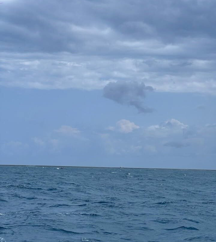 Wasini Island-Shimoni必去景点