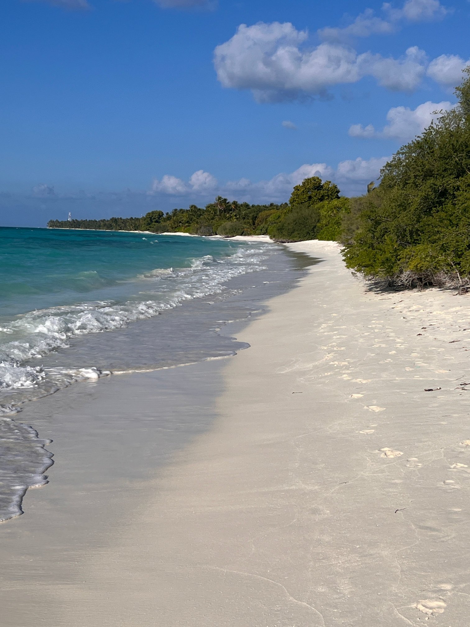 TME迪古拉酒店-泳池