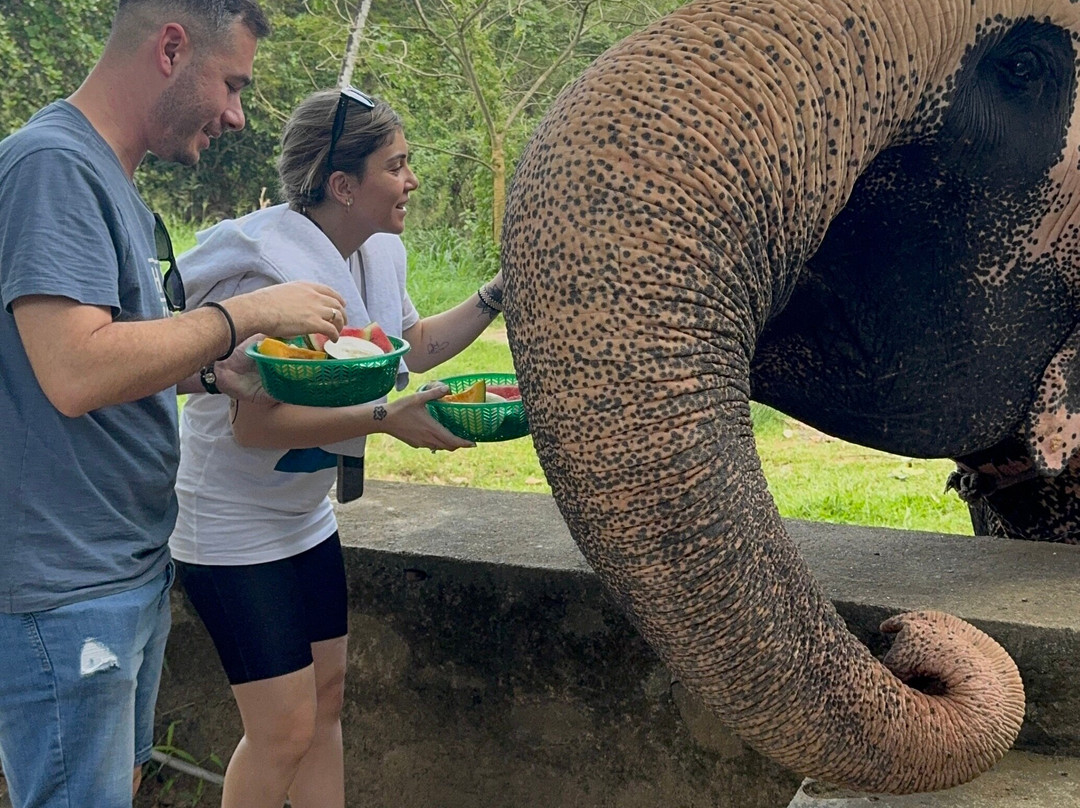 Exotic Island Tours - Private Driver Sri Lanka-Ganemulla必去景点