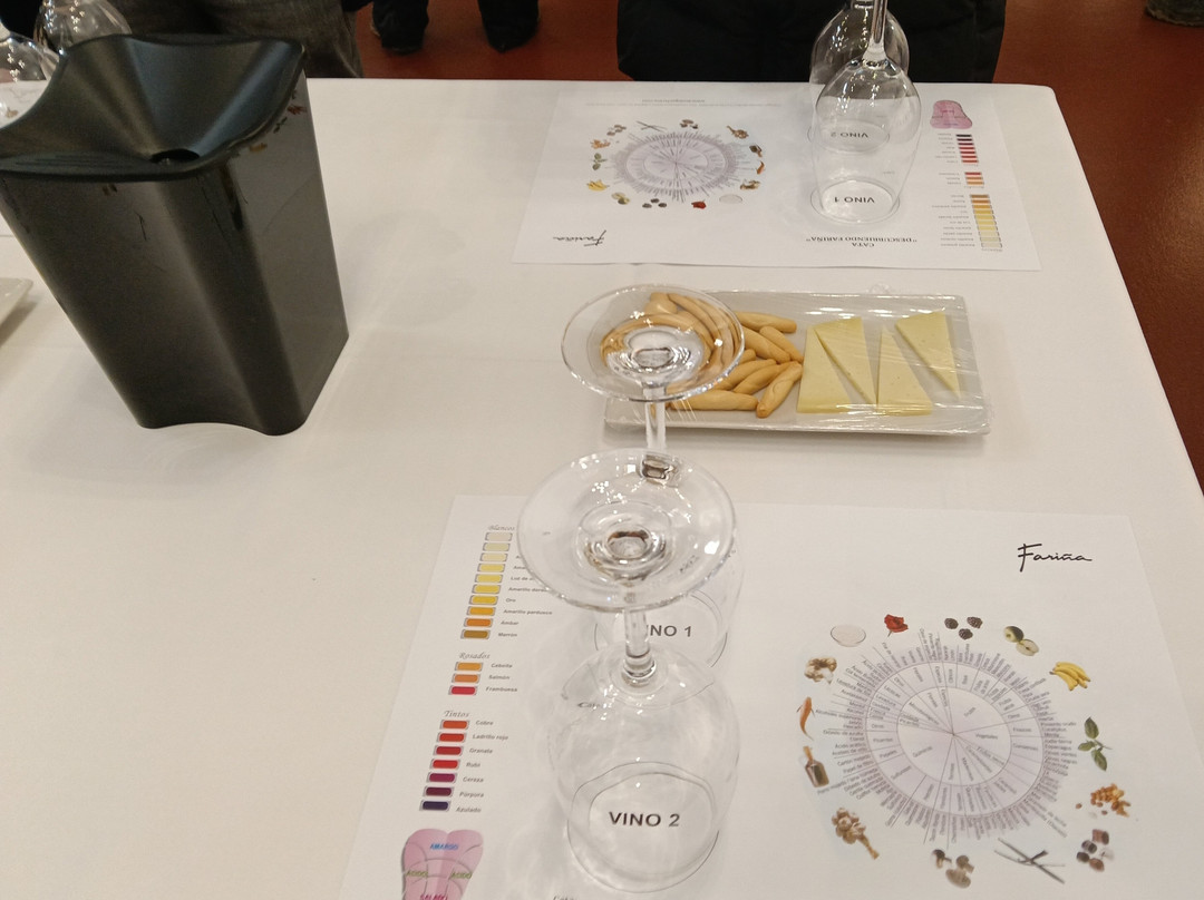 Bodegas Fariña-Toro必去景点