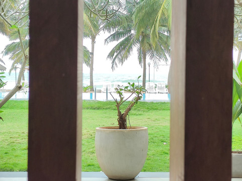 Miraculous Holidays-锡吉里亚必去景点