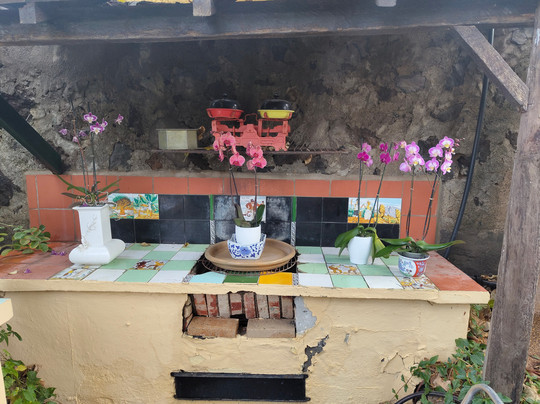 Jardin de Orquideas de Sitio Litre-德拉克鲁兹索尔港必去景点