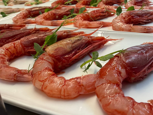 Cruditè | Punta Secca