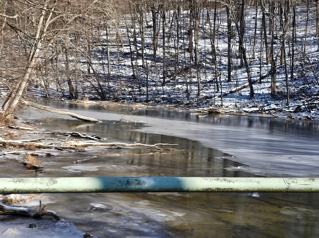 Bell Manor Bridge