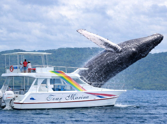 BOOKING ADVENTURES - SAMANA-Cayo Levantado必去景点