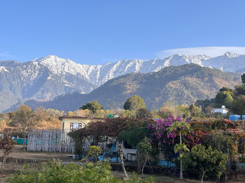 Rendezvous Dharamshala主图