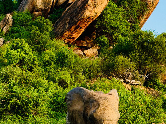 Kampur Travel Diaries-内罗毕必去景点